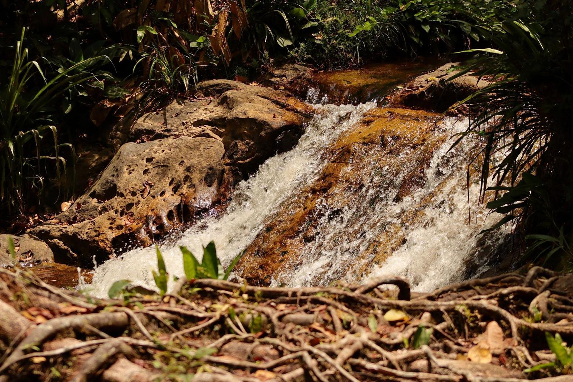 Pousada Paraiso Do Calango Azul Presidente Figueiredo Luaran gambar