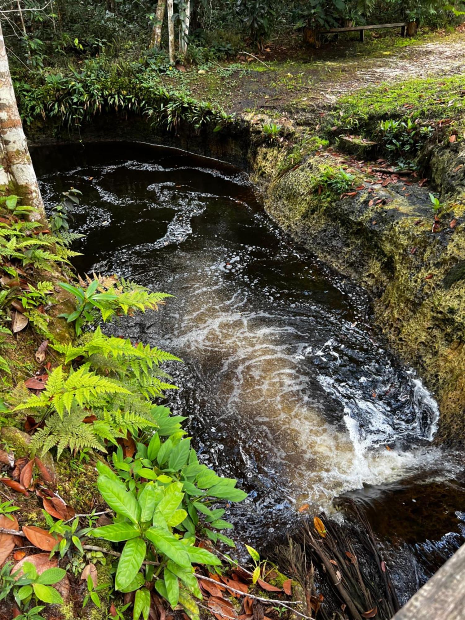 Pousada Paraiso Do Calango Azul Presidente Figueiredo Luaran gambar