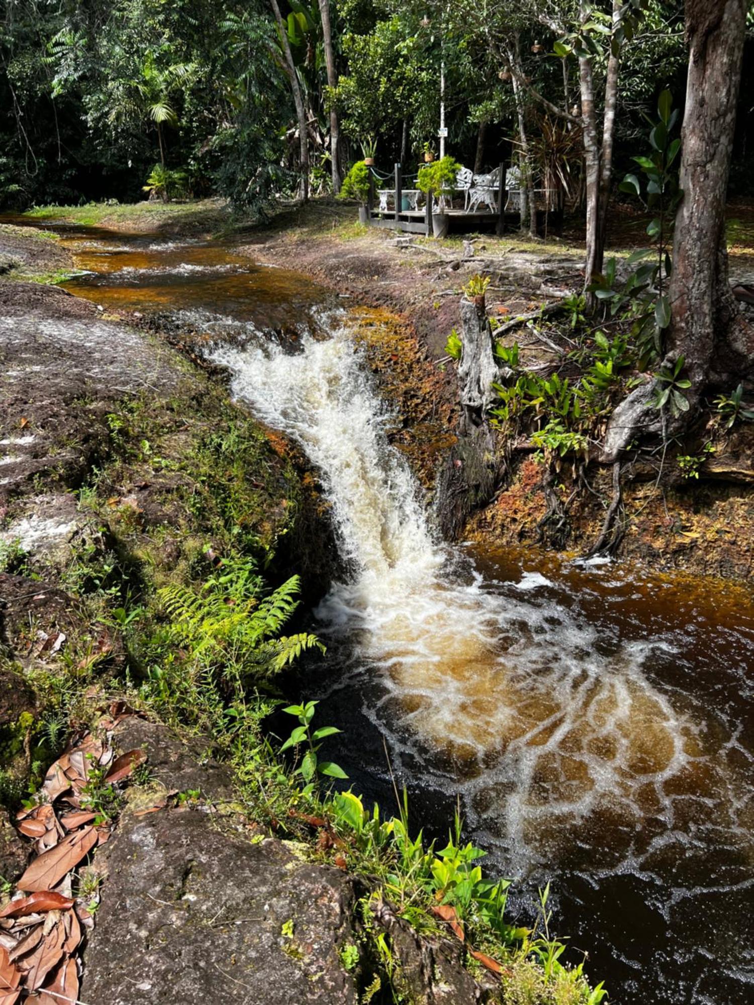 Pousada Paraiso Do Calango Azul Presidente Figueiredo Luaran gambar