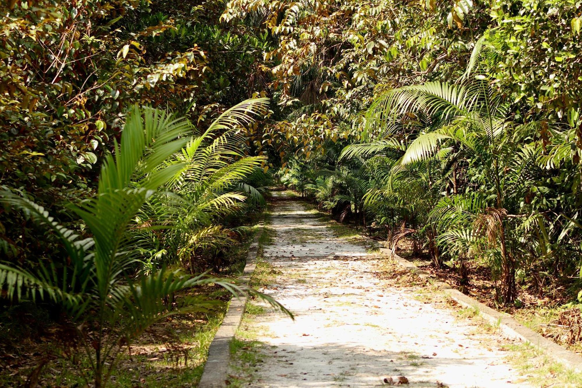 Pousada Paraiso Do Calango Azul Presidente Figueiredo Luaran gambar