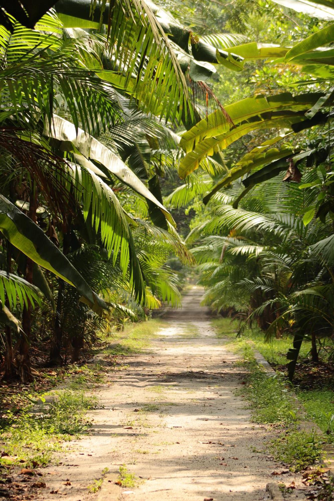 Pousada Paraiso Do Calango Azul Presidente Figueiredo Luaran gambar
