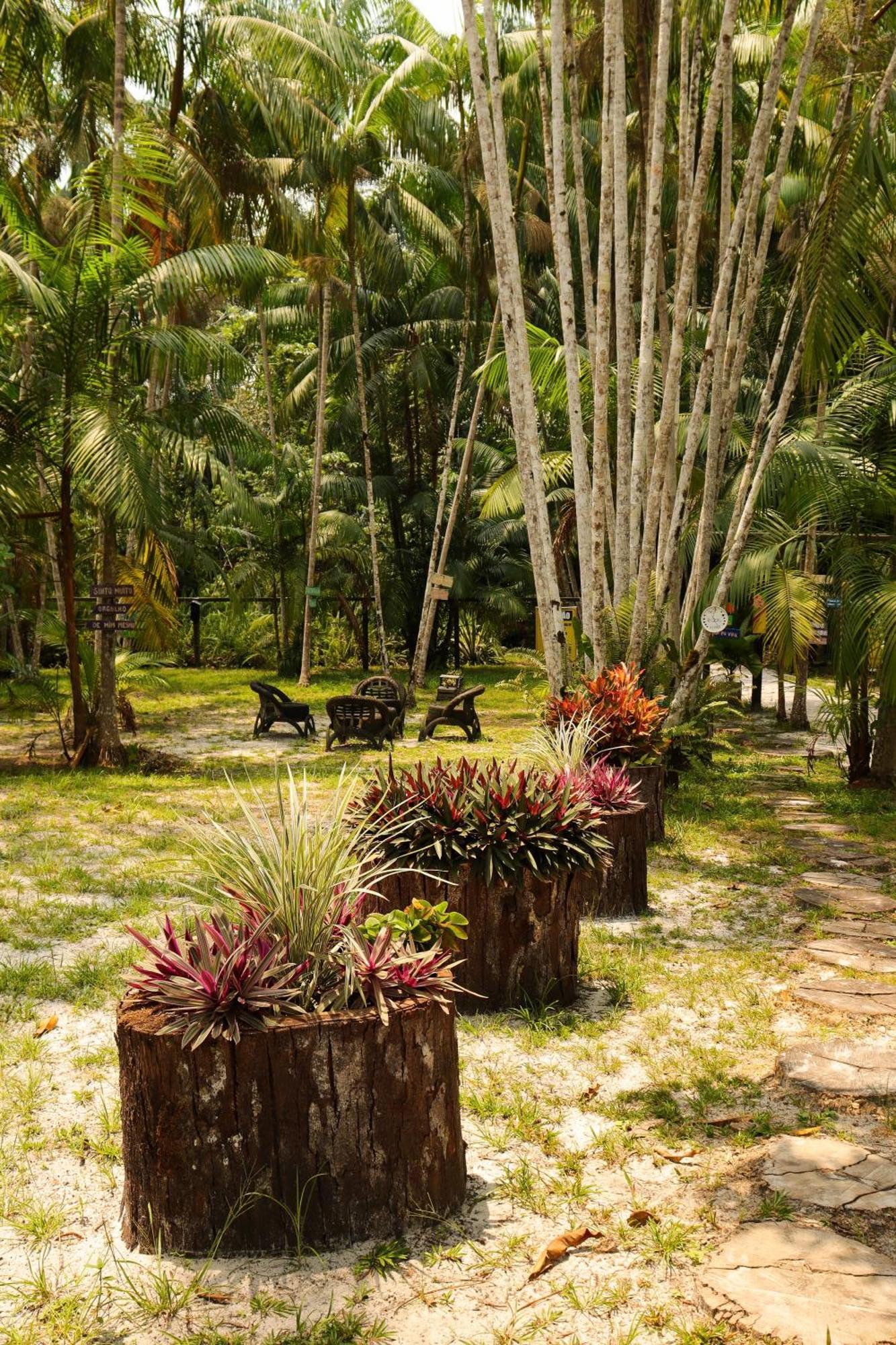 Pousada Paraiso Do Calango Azul Presidente Figueiredo Luaran gambar